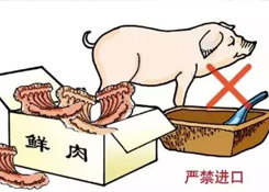非洲豬瘟防控，你需要知道的在這里！