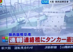 出口日本的注意了！臺(tái)風(fēng)飛燕橫掃日本，港口淹沒(méi)集裝箱一片狼藉！船期或受影響！