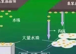 集裝箱里進(jìn)水，誰的錯？如何預(yù)防應(yīng)對？