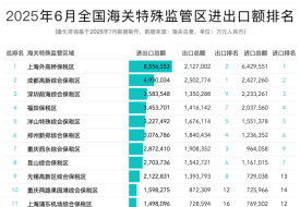 2025年6月全國海關(guān)特殊監(jiān)管區(qū)(綜保區(qū)等)進(jìn)出口貿(mào)易額排名榜單
