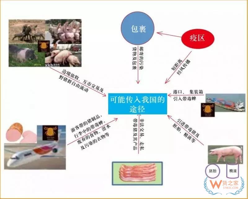 非洲豬瘟防控，你需要知道的在這里！貨之家
