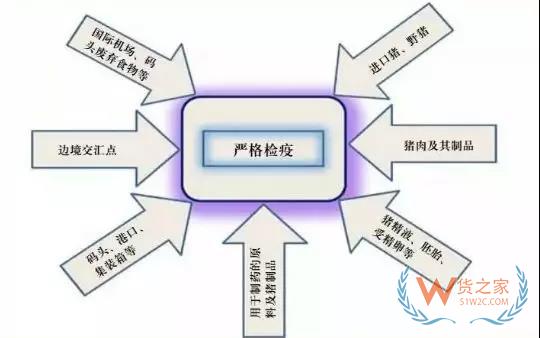 非洲豬瘟防控，你需要知道的在這里！貨之家