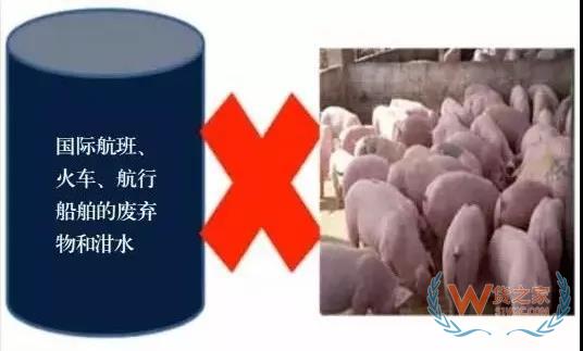 非洲豬瘟防控，你需要知道的在這里！貨之家