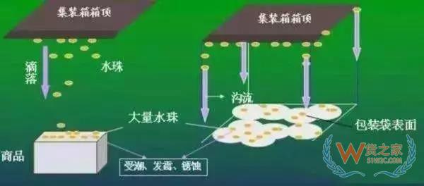 集裝箱里進水，誰的錯？如何預防應對？貨之家