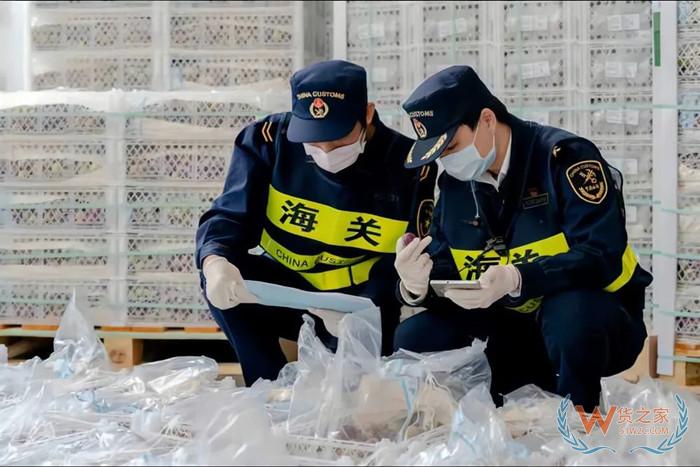 海關(guān)查驗:進口商品在什么情況下會加嚴(yán)抽樣查驗？