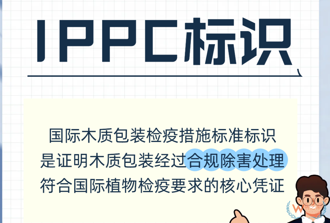 中國海關(guān)發(fā)布新規(guī)：帶有托盤的貨物申報要求全面升級