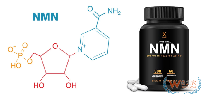 跨境進(jìn)口抗衰保健品哪些原料好？NAD+、麥角硫因、磷脂酰絲氨酸...